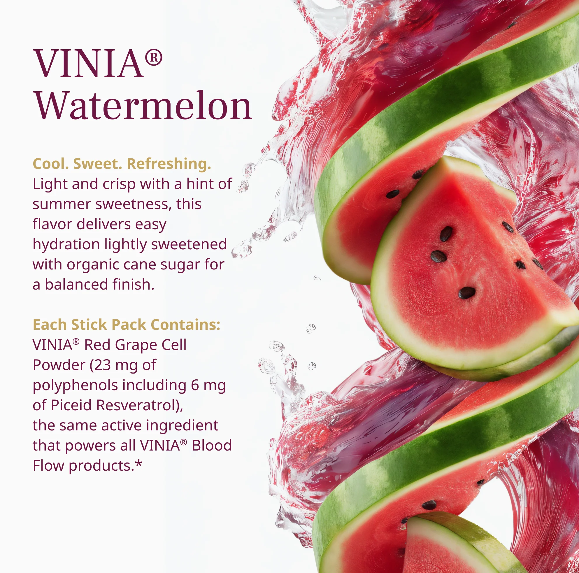 VINIA® Hydration Watermelon - Image 7